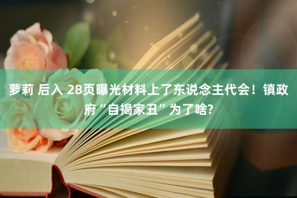 萝莉 后入 28页曝光材料上了东说念主代会！镇政府“自揭家丑”为了啥?