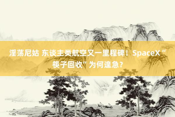 淫荡尼姑 东谈主类航空又一里程碑！SpaceX“筷子回收”为何遑急？