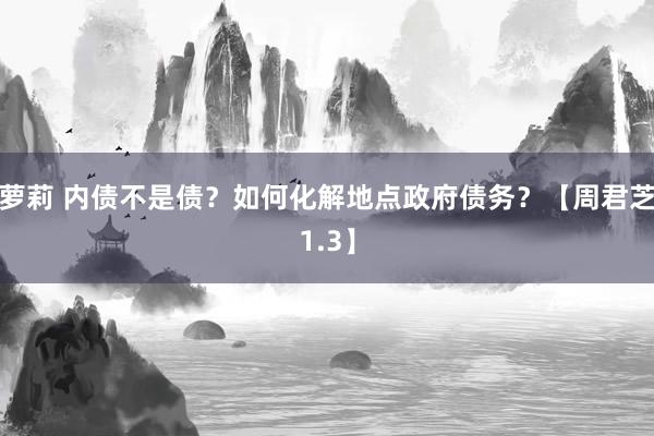 萝莉 内债不是债？如何化解地点政府债务？【周君芝1.3】