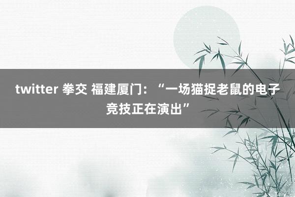 twitter 拳交 福建厦门：“一场猫捉老鼠的电子竞技正在演出”