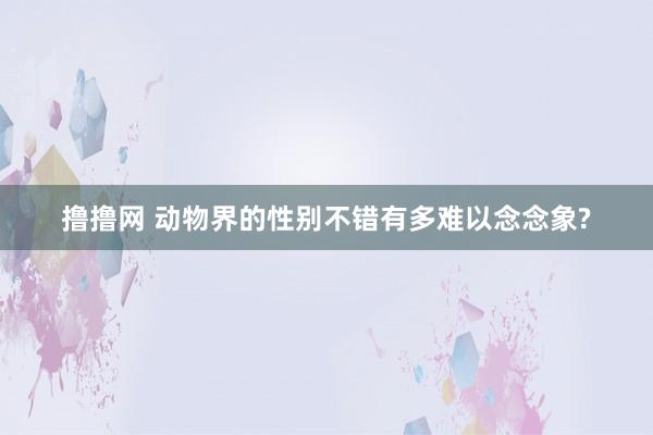 撸撸网 动物界的性别不错有多难以念念象?