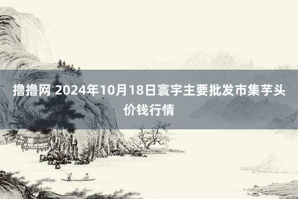 撸撸网 2024年10月18日寰宇主要批发市集芋头价钱行情