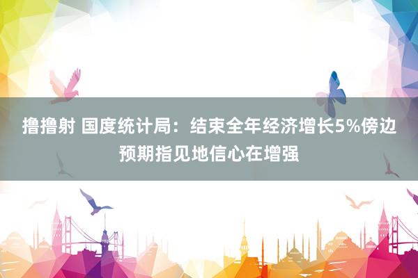 撸撸射 国度统计局：结束全年经济增长5%傍边预期指见地信心在增强