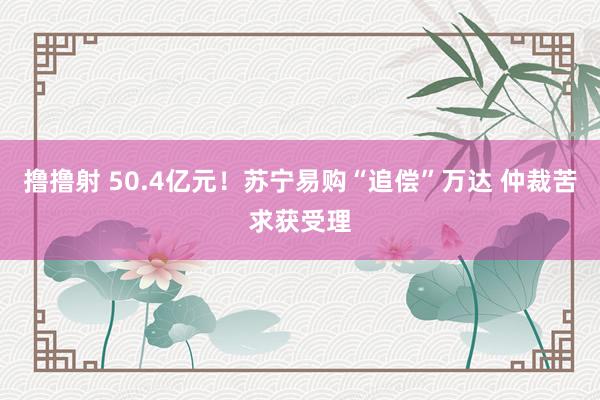 撸撸射 50.4亿元！苏宁易购“追偿”万达 仲裁苦求获受理