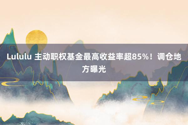 Lululu 主动职权基金最高收益率超85%！调仓地方曝光