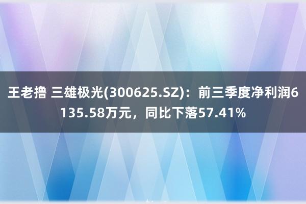 王老撸 三雄极光(300625.SZ)：前三季度净利润6135.58万元，同比下落57.41%