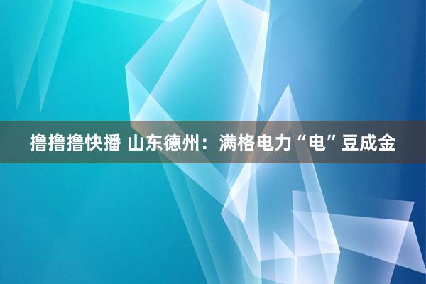 撸撸撸快播 山东德州：满格电力“电”豆成金