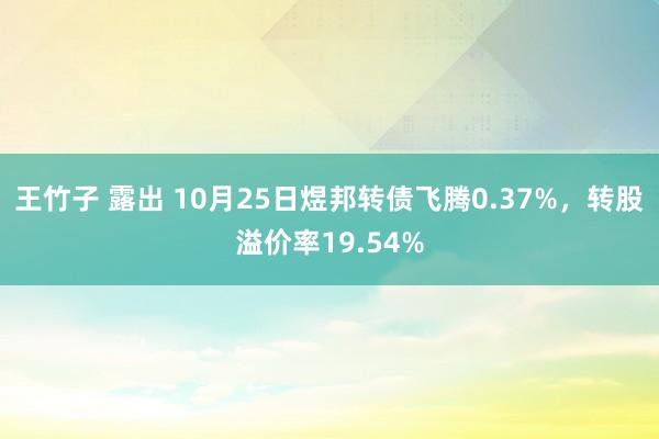 王竹子 露出 10月25日煜邦转债飞腾0.37%，转股溢价率19.54%