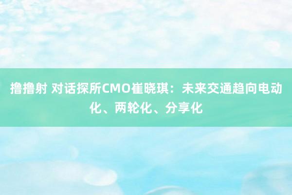 撸撸射 对话探所CMO崔晓琪：未来交通趋向电动化、两轮化、分享化