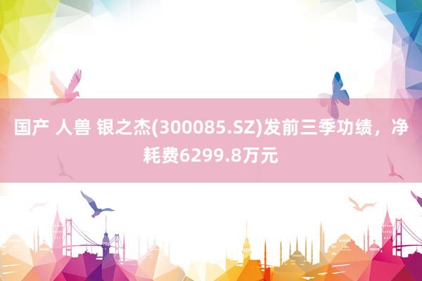 国产 人兽 银之杰(300085.SZ)发前三季功绩，净耗费6299.8万元