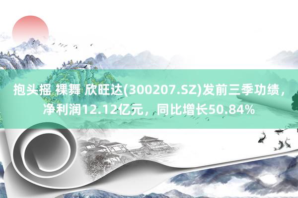 抱头摇 裸舞 欣旺达(300207.SZ)发前三季功绩，净利润12.12亿元，同比增长50.84%