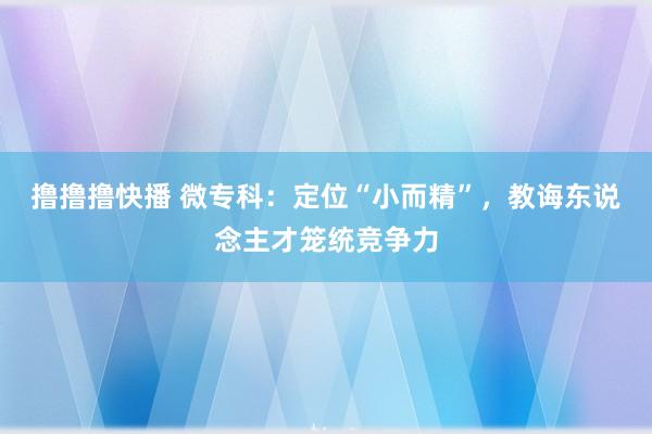 撸撸撸快播 微专科：定位“小而精”，教诲东说念主才笼统竞争力