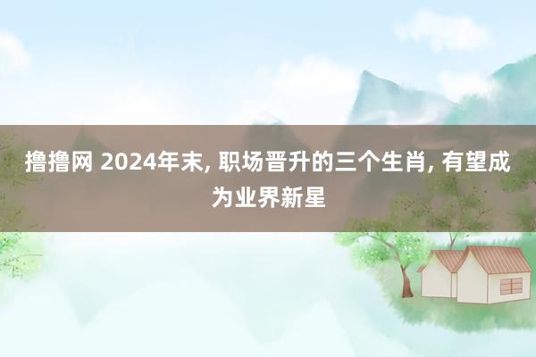 撸撸网 2024年末， 职场晋升的三个生肖， 有望成为业界新星