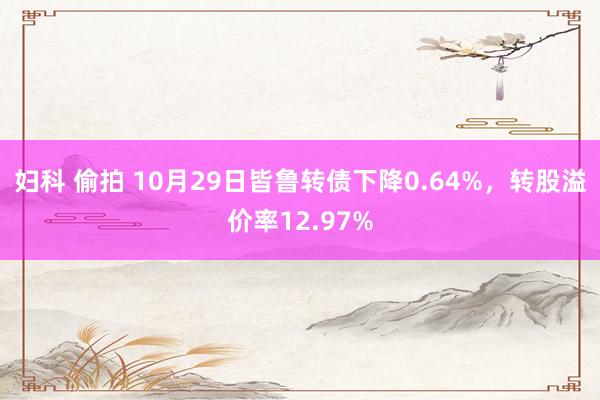 妇科 偷拍 10月29日皆鲁转债下降0.64%，转股溢价率12.97%