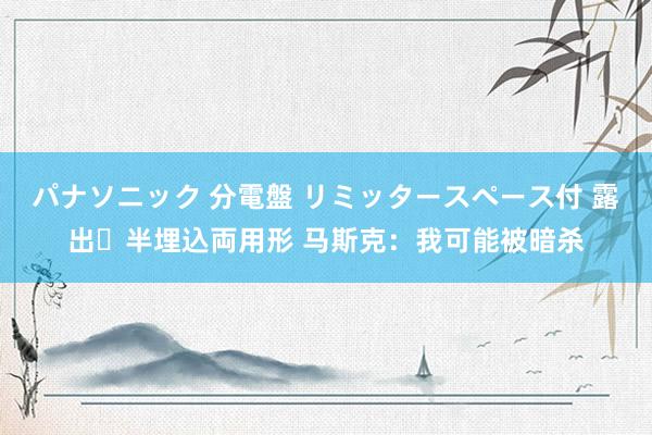 パナソニック 分電盤 リミッタースペース付 露出・半埋込両用形 马斯克：我可能被暗杀