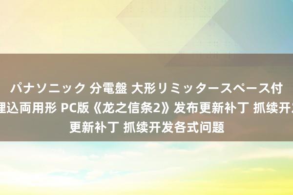 パナソニック 分電盤 大形リミッタースペース付 露出・半埋込両用形 PC版《龙之信条2》发布更新补丁 抓续开发各式问题