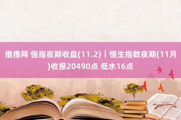 撸撸网 恒指夜期收盘(11.2)︱恒生指数夜期(11月)收报20490点 低水16点