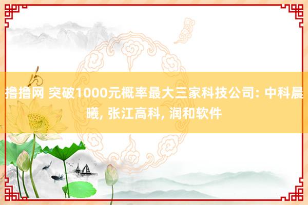 撸撸网 突破1000元概率最大三家科技公司: 中科晨曦， 张江高科， 润和软件