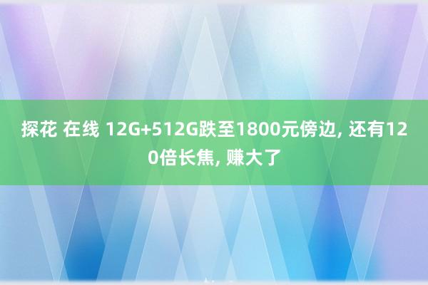 探花 在线 12G+512G跌至1800元傍边， 还有120倍长焦， 赚大了