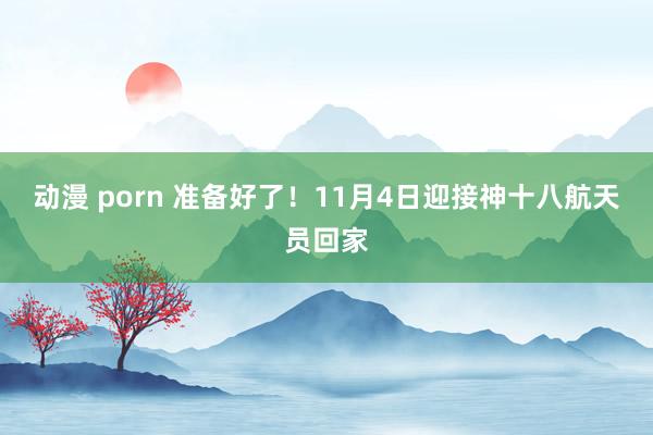 动漫 porn 准备好了！11月4日迎接神十八航天员回家