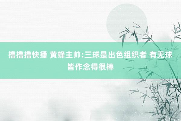 撸撸撸快播 黄蜂主帅:三球是出色组织者 有无球皆作念得很棒