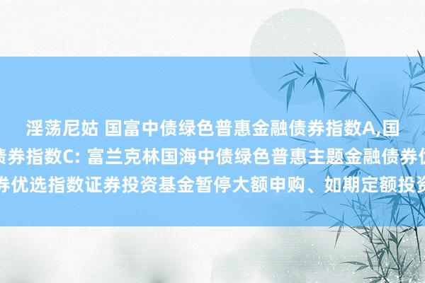 淫荡尼姑 国富中债绿色普惠金融债券指数A，国富中债绿色普惠金融债券指数C: 富兰克林国海中债绿色普惠主题金融债券优选指数证券投资基金暂停大额申购、如期定额投资以及养息转入业务的公告