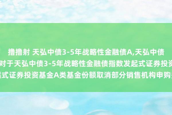 撸撸射 天弘中债3-5年战略性金融债A，天弘中债3-5年战略性金融债C: 对于天弘中债3-5年战略性金融债指数发起式证券投资基金A类基金份额取消部分销售机构申购费率优惠行径的公告