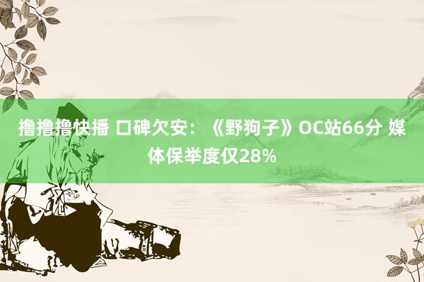 撸撸撸快播 口碑欠安：《野狗子》OC站66分 媒体保举度仅28%