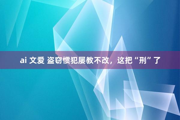 ai 文爱 盗窃惯犯屡教不改，这把“刑”了