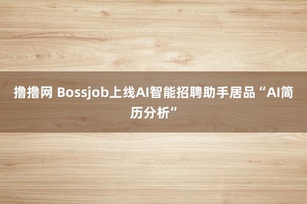 撸撸网 Bossjob上线AI智能招聘助手居品“AI简历分析”