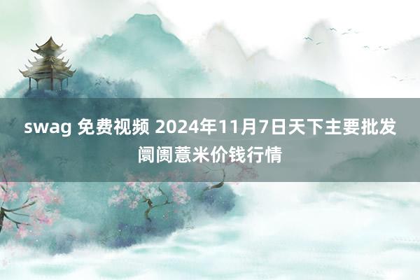 swag 免费视频 2024年11月7日天下主要批发阛阓薏米价钱行情