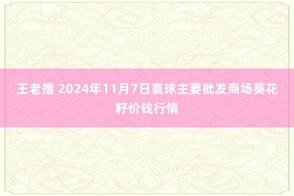 王老撸 2024年11月7日寰球主要批发商场葵花籽价钱行情