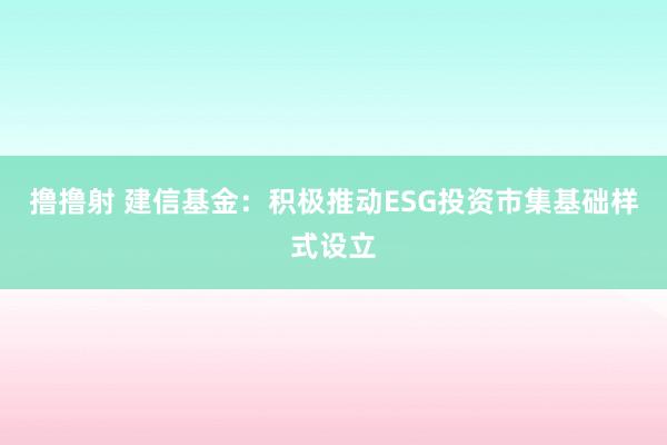 撸撸射 建信基金：积极推动ESG投资市集基础样式设立