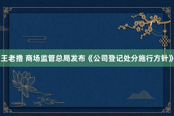 王老撸 商场监管总局发布《公司登记处分施行方针》