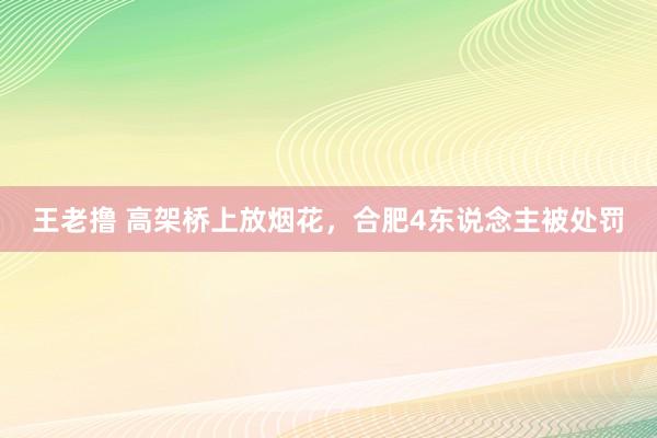 王老撸 高架桥上放烟花，合肥4东说念主被处罚