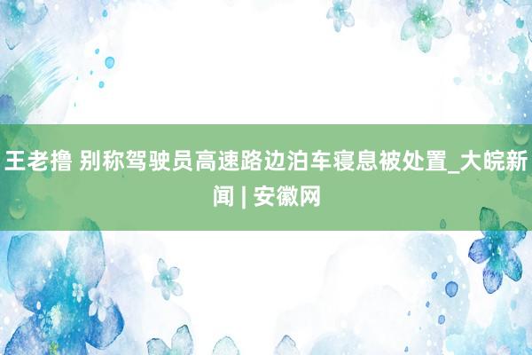 王老撸 别称驾驶员高速路边泊车寝息被处置_大皖新闻 | 安徽网