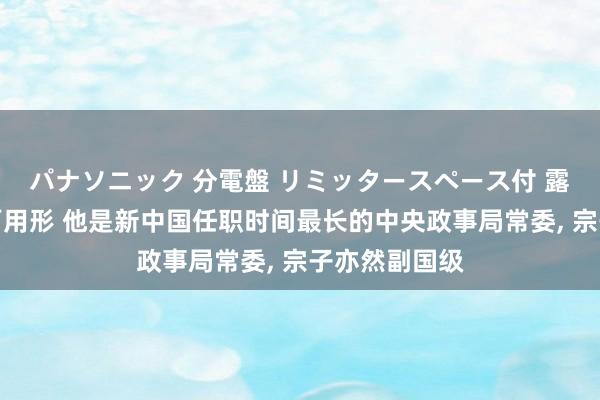 パナソニック 分電盤 リミッタースペース付 露出・半埋込両用形 他是新中国任职时间最长的中央政事局常委， 宗子亦然副国级