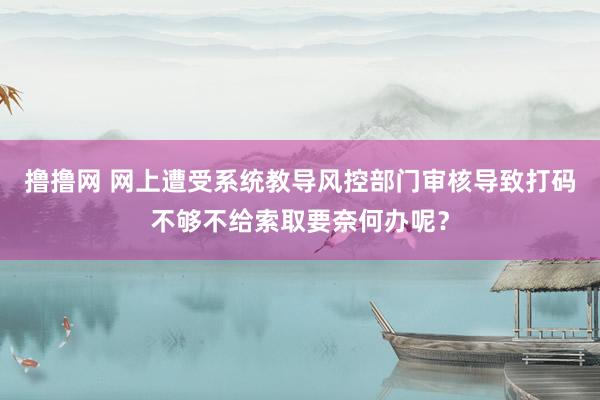 撸撸网 网上遭受系统教导风控部门审核导致打码不够不给索取要奈何办呢？