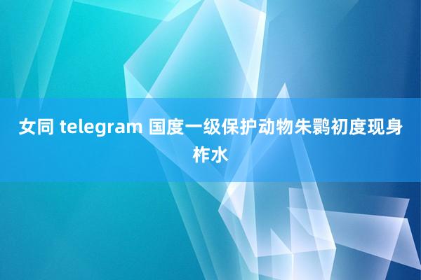 女同 telegram 国度一级保护动物朱鹮初度现身柞水