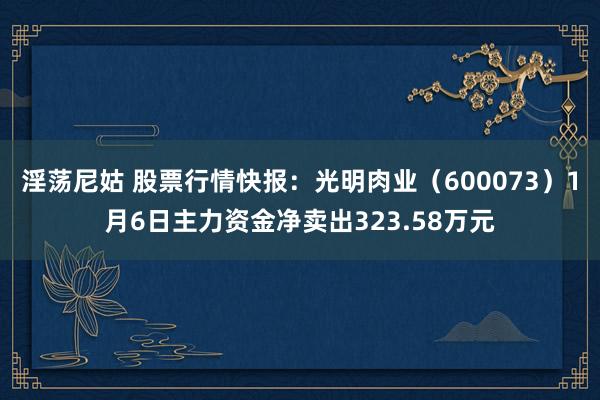 淫荡尼姑 股票行情快报：光明肉业（600073）1月6日主力资金净卖出323.58万元