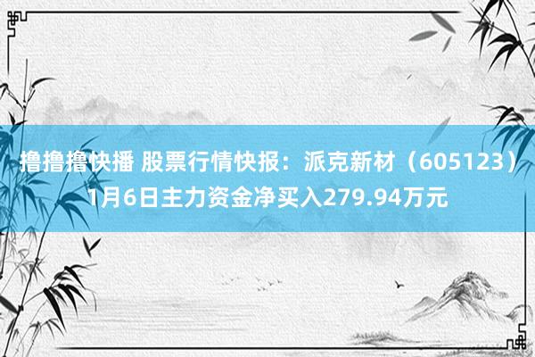 撸撸撸快播 股票行情快报：派克新材（605123）1月6日主力资金净买入279.94万元