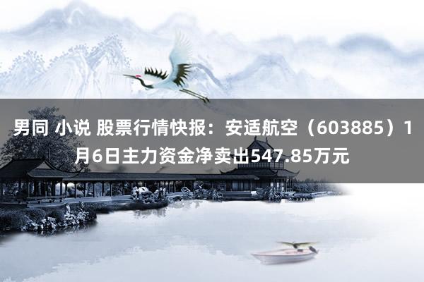 男同 小说 股票行情快报：安适航空（603885）1月6日主力资金净卖出547.85万元