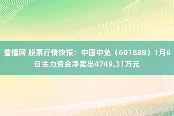 撸撸网 股票行情快报：中国中免（601888）1月6日主力资金净卖出4749.31万元