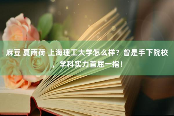 麻豆 夏雨荷 上海理工大学怎么样？曾是手下院校，学科实力首屈一指！