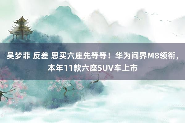 吴梦菲 反差 思买六座先等等！华为问界M8领衔，本年11款六座SUV车上市