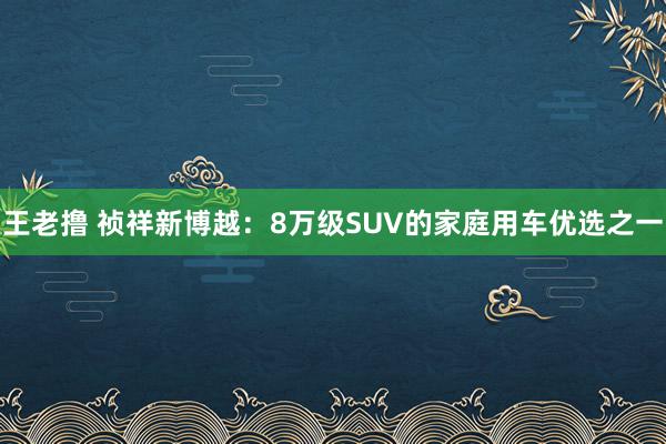 王老撸 祯祥新博越：8万级SUV的家庭用车优选之一