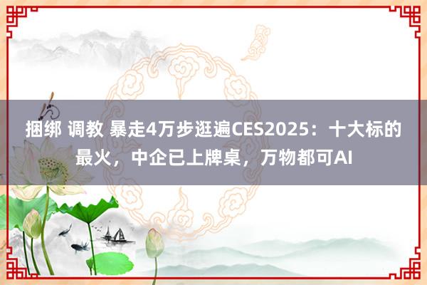 捆绑 调教 暴走4万步逛遍CES2025：十大标的最火，中企已上牌桌，万物都可AI