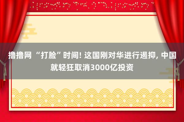 撸撸网 “打脸”时间! 这国刚对华进行遏抑， 中国就轻狂取消3000亿投资