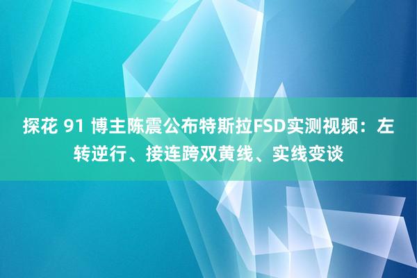 探花 91 博主陈震公布特斯拉FSD实测视频：左转逆行、接连跨双黄线、实线变谈