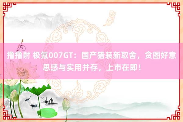 撸撸射 极氪007GT：国产猎装新取舍，贪图好意思感与实用并存，上市在即！